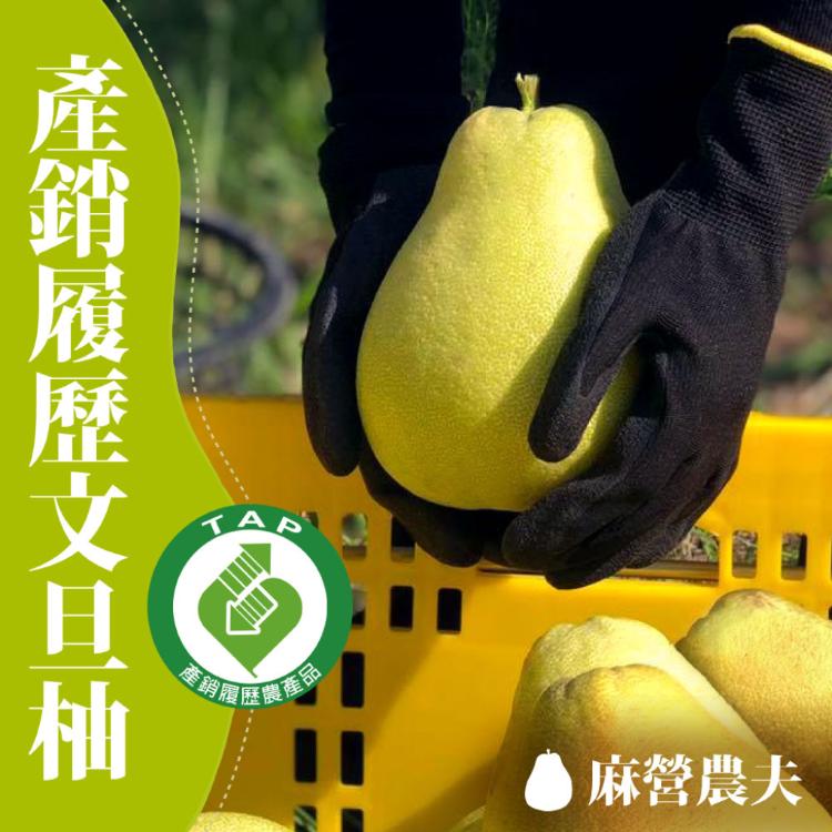 免運!【麻營農夫】麻豆文旦柚禮盒(產銷履歷) 10台斤/1箱