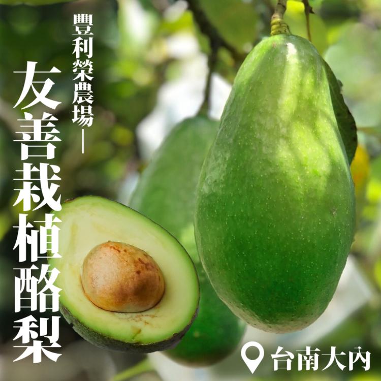 【豐利榮農場】無毒酪梨