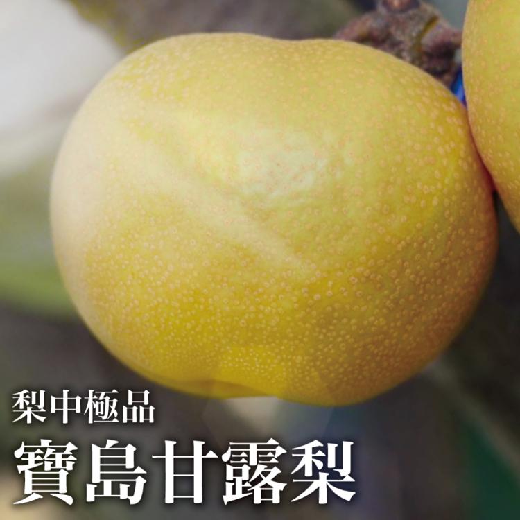 【十翼饌選果】頂級寶島甘露梨6粒/8臺斤(友善農耕/草生栽植/無除草劑)