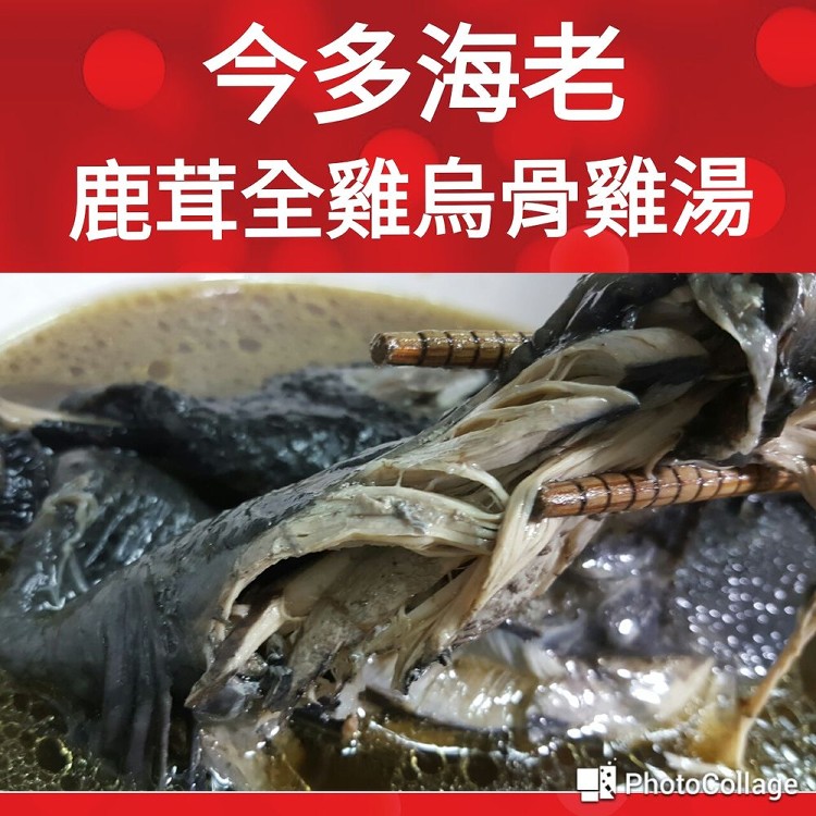 鹿茸全雞烏骨雞湯