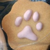 療癒系~喵掌餅乾