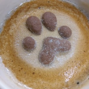 療癒系-阿拉比卡咖啡貓掌棉花糖