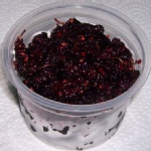 桑椹醬 贈品─桑椹果粒100g