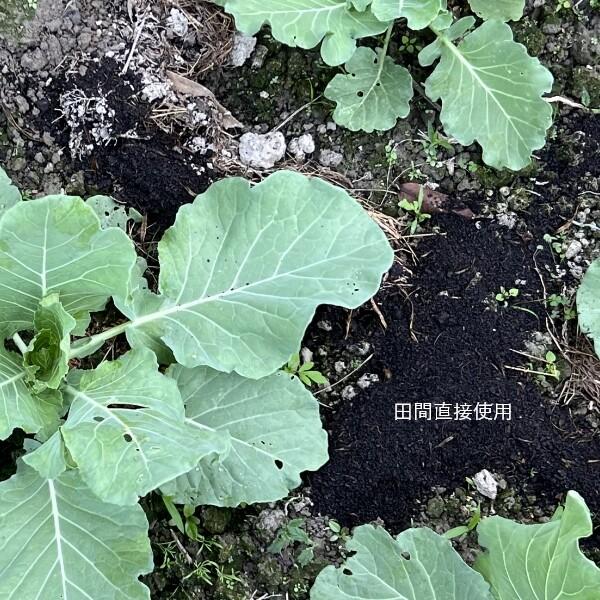 田間直接使用。