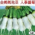 蘿蔔中罐2公斤