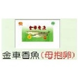 香魚 (母抱卵) 約4~5隻 特價：$400