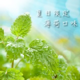 【檸魔坊 Lemon Magician】 手作黃金檸檬片(薄荷口味)