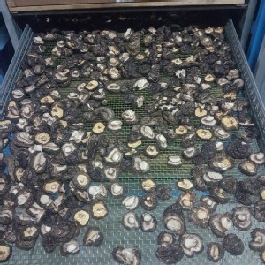 台中新社-台灣冬菇(小中)