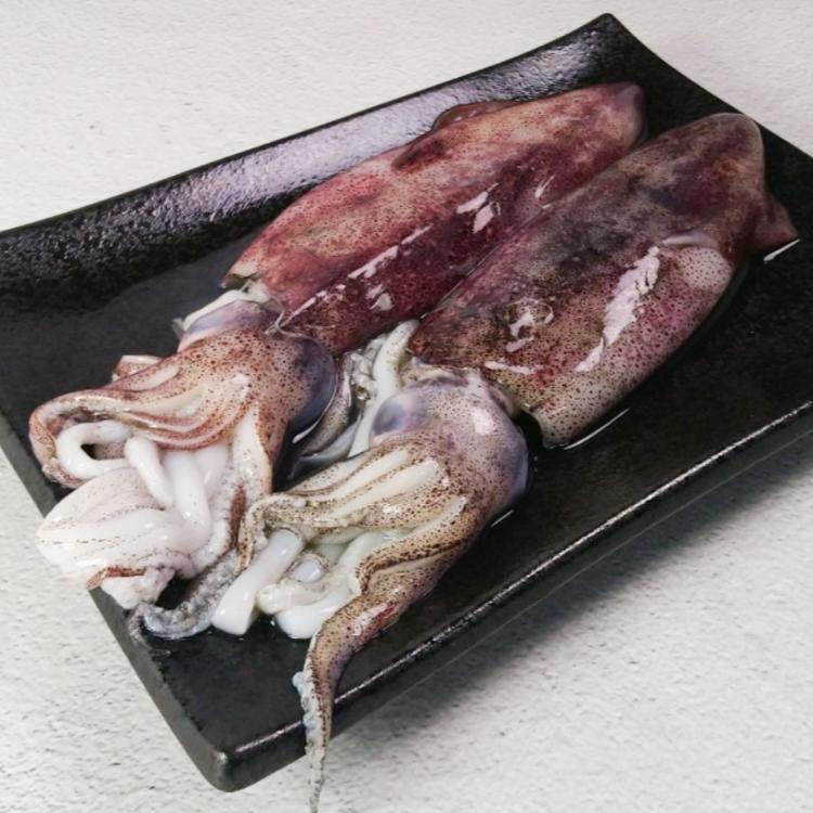 【五朝港水產】極鮮活凍透抽(250-300克±5%/隻)