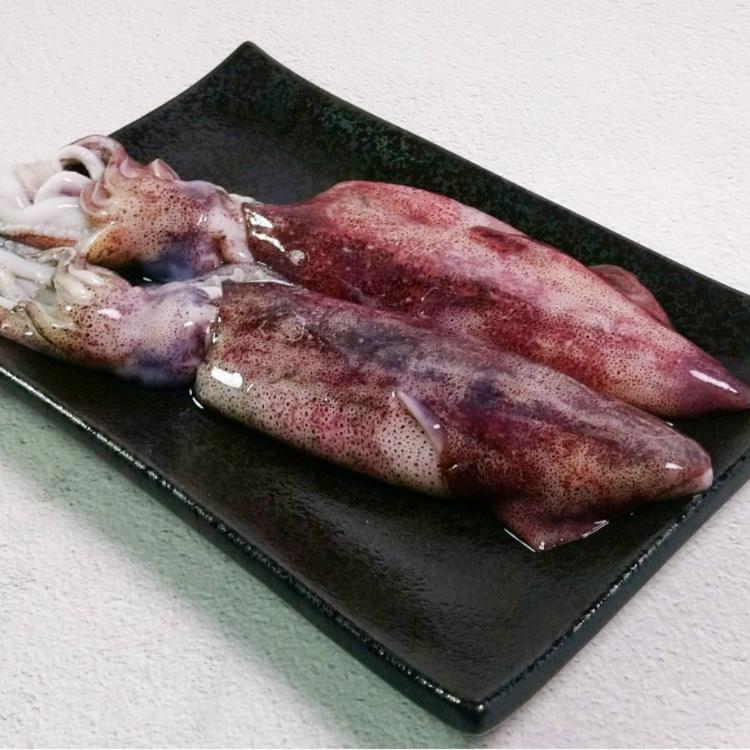 【五朝港水產】極鮮活凍透抽(250-300克±5%/隻)