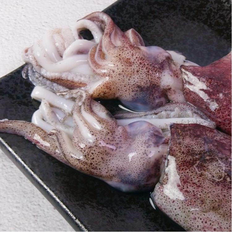 【五朝港水產】極鮮活凍透抽(250-300克±5%/隻)