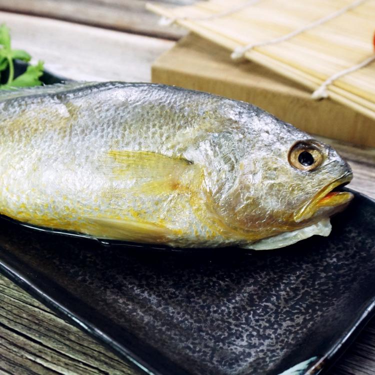 【五朝港水產】嚴選野生大黃魚|當季肥美大黃魚|鮮美細嫩|營養滿分|健康加分