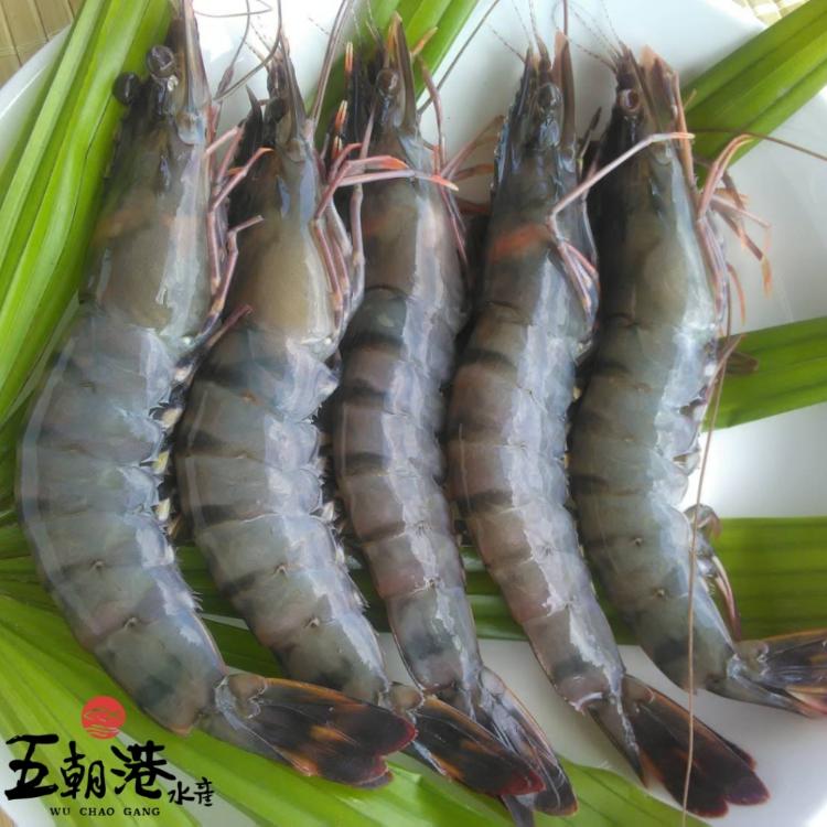 【五朝港水產】中秋超蝦趴3+1組|買就送泰國蝦|嚴選各地頂級好蝦|品質保證|肉質絕對鮮甜|營養滿分