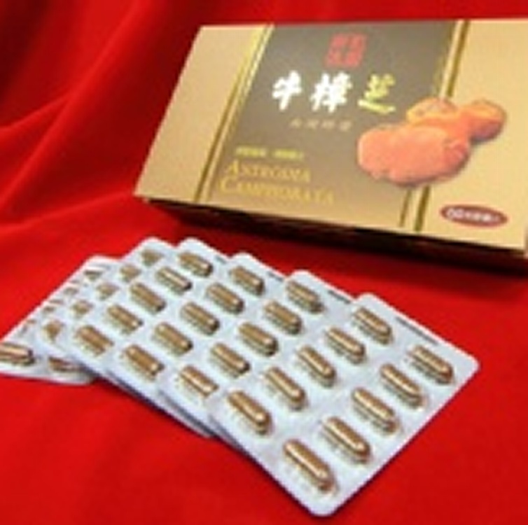 神農真菌牛樟芝-長期配合_國內牛樟芝專家-專做OEM/批發-假一赔十