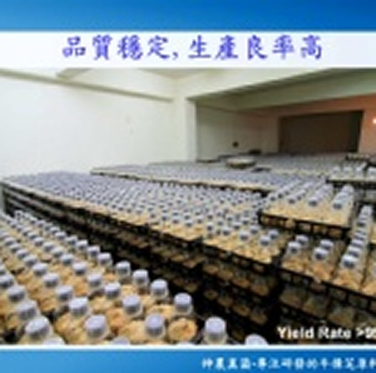神農真菌牛樟芝-長期配合_國內牛樟芝專家-專做OEM/批發-假一赔十