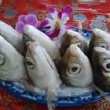 現撈生鮮虱目魚下巴 (8入)本店不留庫存接到訂單馬上製作保證新鮮 (附贈沾醬料包吃出傳統道地風味)