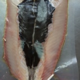 單片XS無刺魚肚