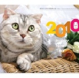 2010 年 貓狗同樂會三角桌曆-貓