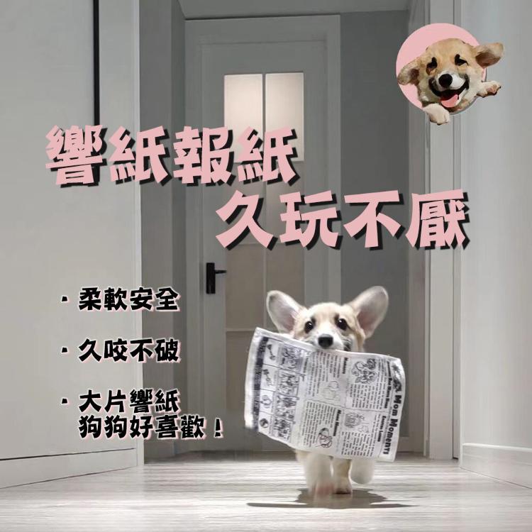 【CityStar】寵物狗狗發聲報紙可耐咬磨牙自嗨玩具