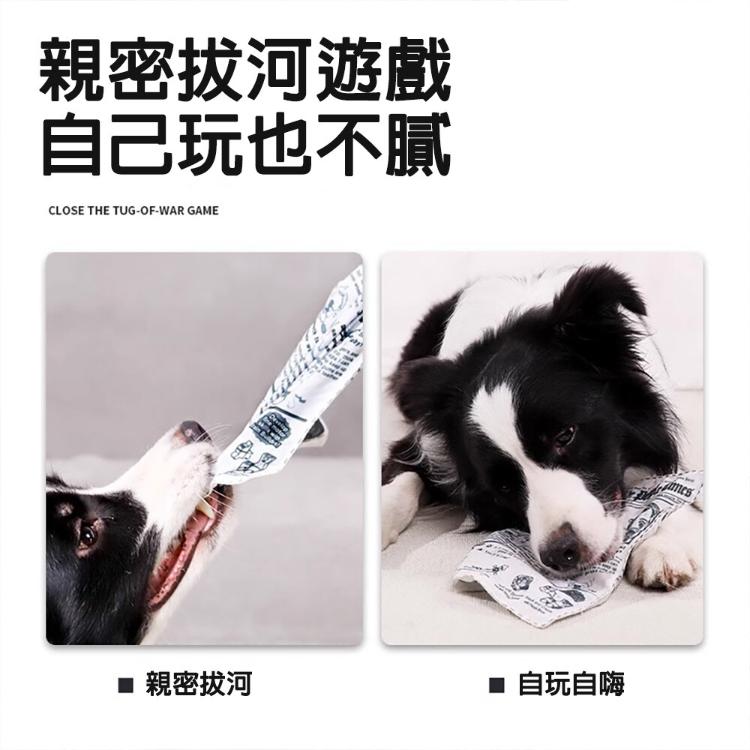 【CityStar】寵物狗狗發聲報紙可耐咬磨牙自嗨玩具