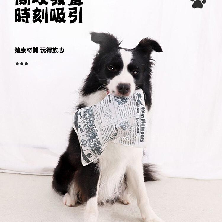 【CityStar】寵物狗狗發聲報紙可耐咬磨牙自嗨玩具