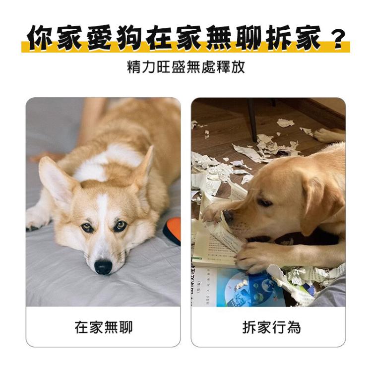【CityStar】寵物狗狗發聲報紙可耐咬磨牙自嗨玩具