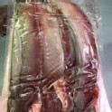 魚皮