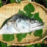 土魠魚頭~原價130