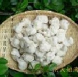澎湖花枝丸~原價220~一斤重