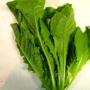 A菜