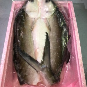 整尾無刺虱目魚