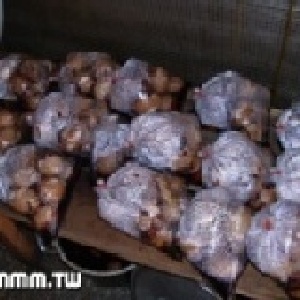 茶葉蛋10入 特價：$85