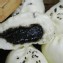 黑糖芝麻包(葷)