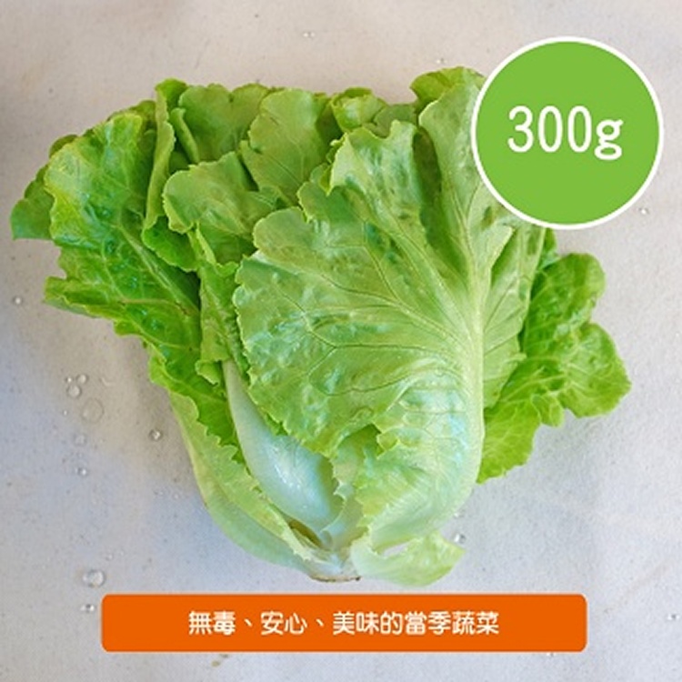 大陸妹
