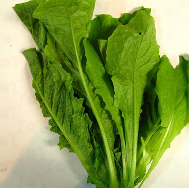 A菜