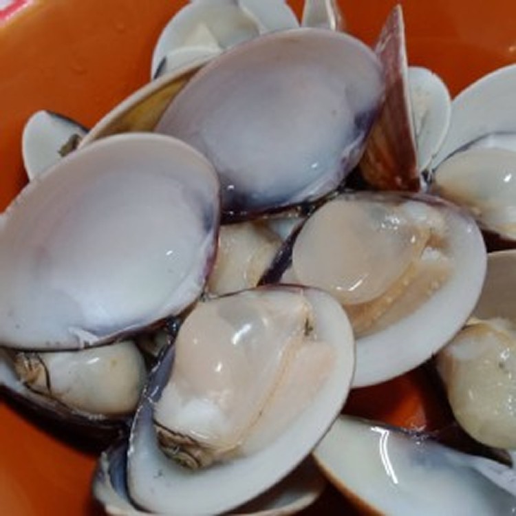 大蛤蜊2斤