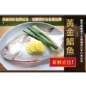 超大的黃金鯧魚