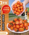 美濃李爸特甜橙蜜番茄