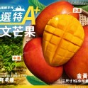 枋山阿梅姨-嚴選特A+愛文芒果(中果)