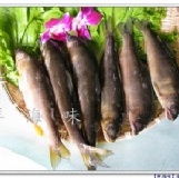 香魚 (宜蘭冷泉)(3入/包)【♥新貨到拉♥】~優惠試吃特價~購!新鮮海味