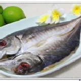 竹筴魚 (一夜干)【♥新品上市♥】╭☆°極簡單の滋味☆°╯【中秋燒烤】加菜優惠特價~購!新鮮海味