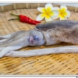 軟絲 【♥新品上市♥】優惠試吃特價~購!新鮮海味