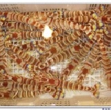 海大蝦 【♥新品上市♥】(12P/盒)╭☆°菊島當地誕生的美味☆°╯優惠試吃特價~購!新鮮海味