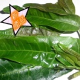 ＊妙味＊手工(素)抓餅＊香椿口味 特價：$140