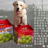 牛奶蜜棗~大級↓下殺420元10斤裝禮盒 10斤2箱免運~95折399元 特價：$420