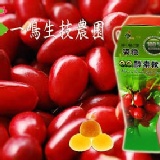 姿纖神秘果酵素軟糖只要225元 下殺4.5折 特價：$225