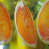 夢幻血橙★花蓮無毒農業