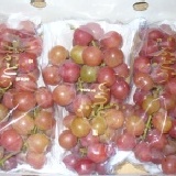 優等蜜紅葡萄～3斤(含運) 有蜂蜜蛋糕的口感