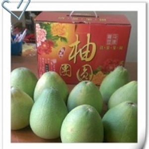 【麻豆李清泉-45年老欉頂級文旦禮盒】5斤