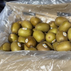 黃金奇異果-6顆